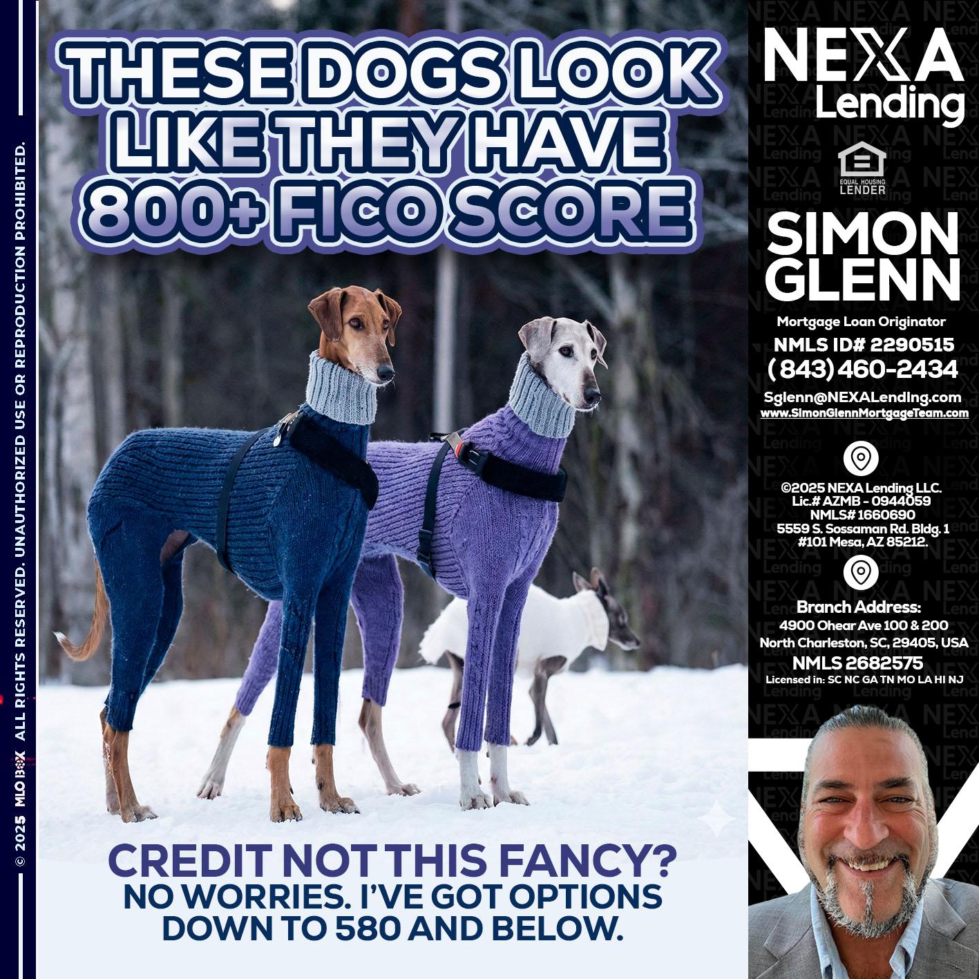 THESE DOGS LOOK - Simon Glenn -Mortgage Broker Loan Originator